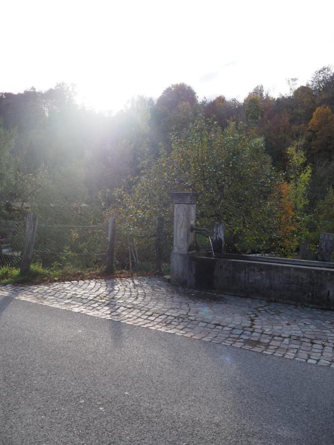 Ferienwohnung Dinkelbergblick Wehr  Luaran gambar